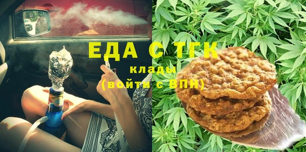 индика Каменка