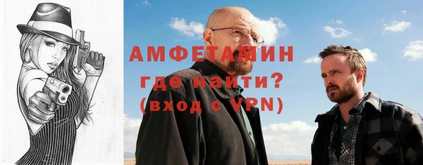индика Каменка