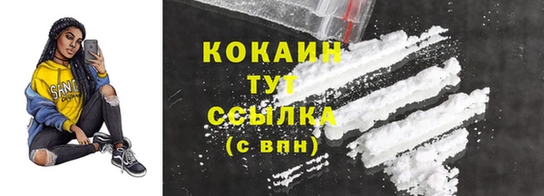 индика Каменка
