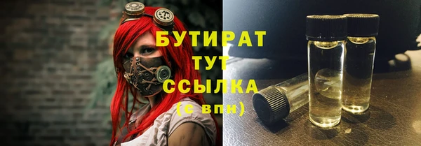 индика Каменка