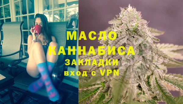 индика Каменка