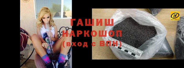 индика Каменка