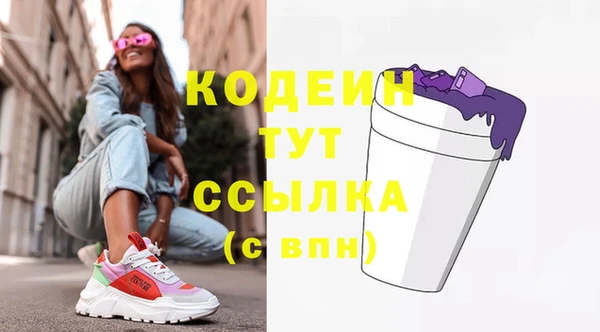индика Каменка