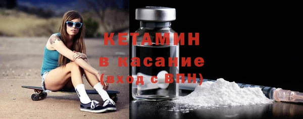 индика Каменка