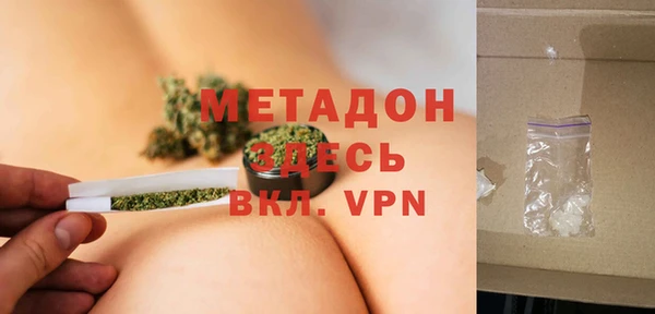 индика Каменка