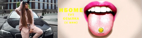 индика Каменка