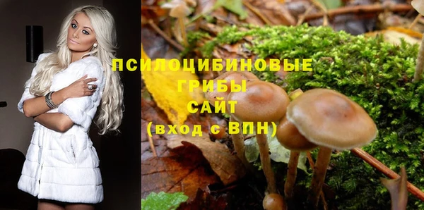 мет Каменногорск