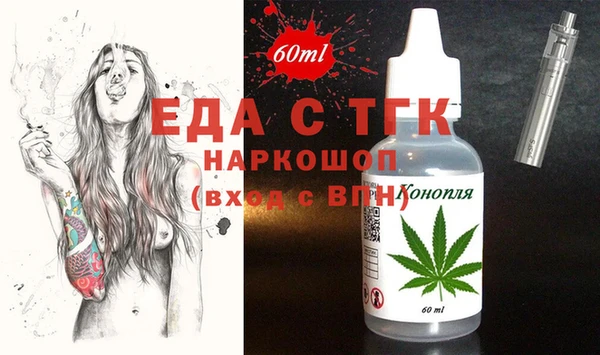 индика Каменка