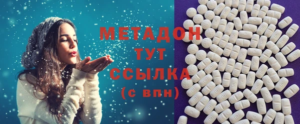индика Каменка