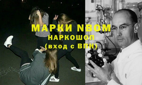 индика Каменка
