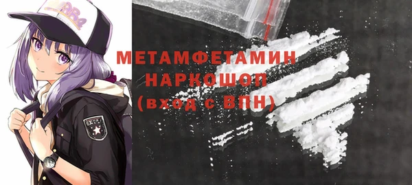 индика Каменка