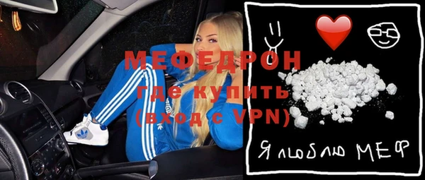 индика Каменка