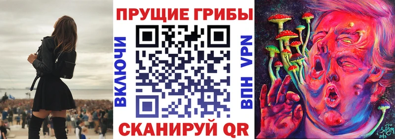 Псилоцибиновые грибы мицелий  сколько стоит  Екатеринбург 
