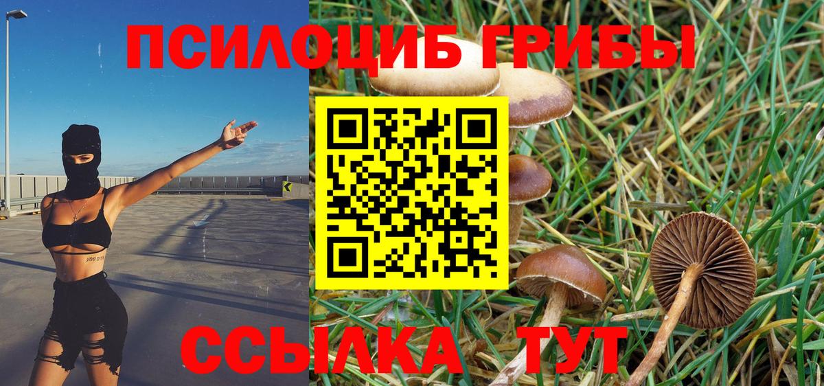 Екатеринбург  Псилоцибиновые грибы Cubensis  Вход с VPN 