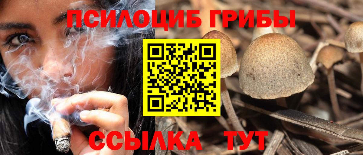 Галлюциногенные грибы Magic Shrooms Екатеринбург